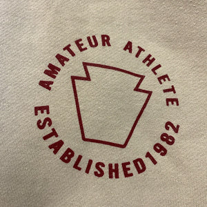 Amateur Athlete Destruction Front Image Hoodie