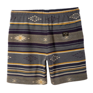 DARK SEAS CYRUS SHORT NAVY BACK IMAGE