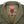 STRANGER THINGS X SANTA CRUZ CRAWL UTILITY ARMY JACKET