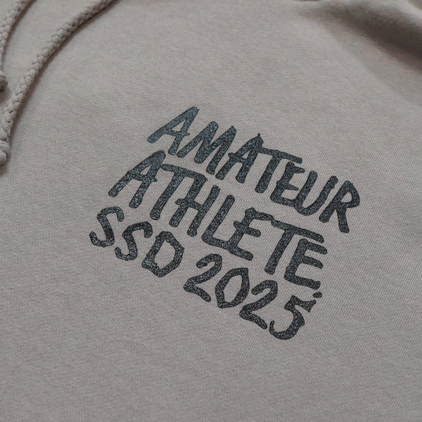 AA X HEROIN SKATE SHOP DAY EMBROIDERED EGG GREY HOODIE