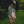 a lifestyle image of a man in the Roark second wind 3.0 green tan jacket 