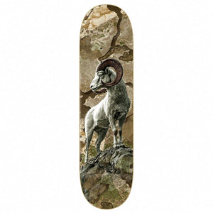 Zero x Realtree Adam Arunski Bighorn Skateboard Deck 8.5: bighorn sheep artwork over earth-toned realtree camouflage. Bottom view on a white background.